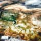 Doesn't this look like an abstract painting? It is a living one in Yellowstone.