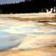 One is told to stay on the wooden raised passageways in Yellowstone.