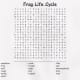 life-cycle-of-a-frog-lesson-plan-for-elementary-students