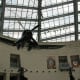 Head on view of a Corsair at the Marine Corps Museum, Quantico, Virginia.