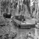 The heavy rains on Guadalcanal were a breeding ground for malaria.