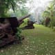 Japanese heavy artillery rusting in the very place they were position during the battle over seventy years ago.