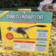 The Dakotaraptor model is more heavyset than the version shown on the identification sign. An explanation for this disparity would have been useful for the public.