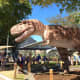 Another view of the T. rex model