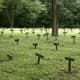 The Nameless Cemetery Letchworth Village Abandoned Insane Asylums