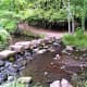 Stepping stones across the stream in Endcliffe Park.