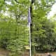 The 'Mi Amigo' flagpole.