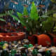 Aquarium is an example of a microecosystem.