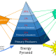 Energy pyramid in an ecosystem