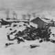 Empty shell casings near gun section, Elsenborn Ridge, 1944.