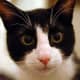 Look into my eyes, deeply into my eyes ... .