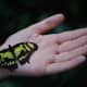 Artificial skin can be so sensitive that it can feel a butterfly landing. 3d printed natural skin will likely be able to do so.
