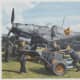 The German Stuka JU-87 dive bomber.
