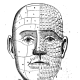 Physiognomy