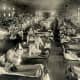 Otis Historical Archives, National Museum of Health and Medicine - Emergency hospital during influenza epidemic, Soldiers from Fort Riley, Kansas, ill with Spanish flu at a hospital ward.