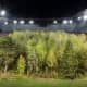 Klaus Littmann turned a football stadium in Austria into a forest to bring an awareness about the climate change.