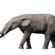 Elephant relatives called gomphotheres were part of the South Americam megafauna. Gomphotherium angustidens (shown here) lived in North America, however.