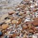 Snowfall illuminates brown stones from nuetral color of sand along the banks of Pier Cove Creek