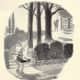 charles-addams-the-father-of-dark-humor