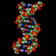 Computer animation of DNA showing what it looks like in real space - not quite as slim as the last one!