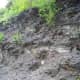 Shale