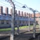There was double barbed wire fences surrounding the concentration camp to prevent escapers. If an escapee attempted they would be shocked by an electrica current that was fatal. 