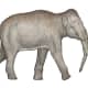 The strange- the straight tusked elephant was a prehistoric relative of the Asian elephant that lived in Europe during warmer phases of the ice age.