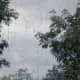 The storm hits - not just rain, but also wind.