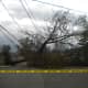 Trees took down power lines in Long Island, NY