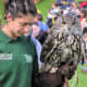 eurasian-eagle-owl-facts-pictures-and-other-triva