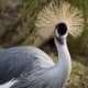 the-most-beautiful-animals-part-2