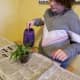 beat-winter-blues-try-these-spring-projects-with-your-kids