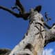 twisted-x-brewing-company-handcrafted-beer-in-dripping-springs-tx