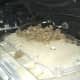 Mouse nest built on top of a car engine