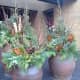 large-outdoor-urns-decorative-planters