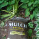 Brown mulch. 
