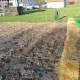 starting-a-straw-bale-garden