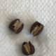 Once the seeds have soaked overnight, most of them will look like these. They are ready to be planted and should germinate quickly.