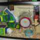 Example of a 10-gallon aquarium as a hamster home.
