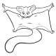 Sugar glider coloring page. Print out for your child.