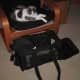 airline-approved-cat-carrier