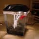 betta-addiction-betta-tank-setup