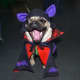 Pugs are known to be very stubborn at times and can appear to have a mind of their own.