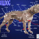 The Leavitt Bulldog
