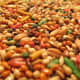 A typical seed mixture has several types of seeds blended together with some artificial food coloring added as well.