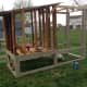 To save time, I started priming and painting the frame of the coop while my husband and father constructed the actual hen house.