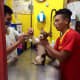 Dog grooming.
