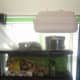 Empty hatchling crested gecko tub, extra incubator, slate tiles, 2 digitial scales, and photography backgrounds.