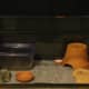 This simple setup shows a Tupperware humid hide and another terracotta pot hide.