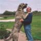 An Irish Wolfhound.